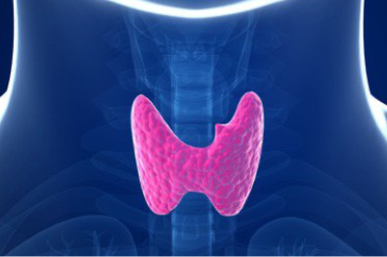 7. Cirugia endocrina